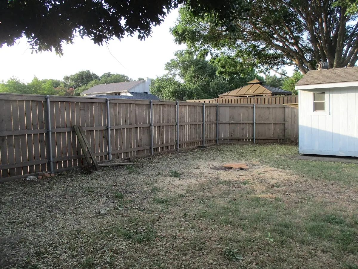 Cleared yard after professional tree removal in Veyo